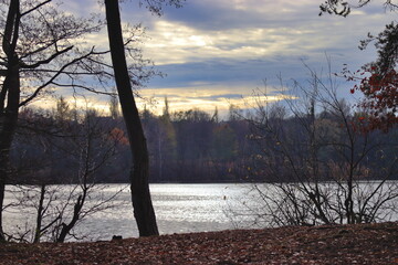 View of the lake and forest in autumn