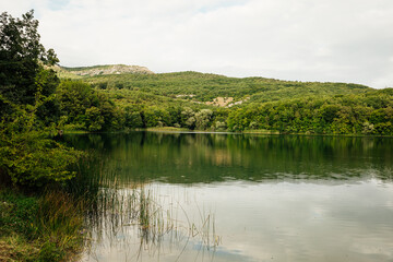 Mountain lake and green forest landscape