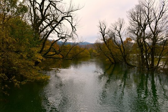 Trees above Unica river at Planinsko polje in Notranjska, Slovenia in autumn