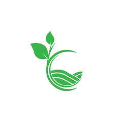 green leaf icon