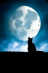 cat silhouette at night, in front of a giant full moon 