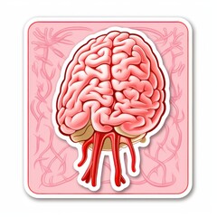 Human brain icon on white background. Brain Sticker. Sticker. Logotype.
