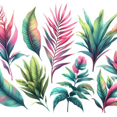 Set colored Palm leaf on isolated background. Green and pink tropical floral elements. Hand drawn watercolor painting. Generative AI.