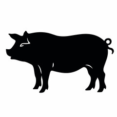 Pig black icon on white background. Pig silhouette