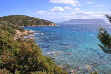 Naklejka premium Sardinian sea