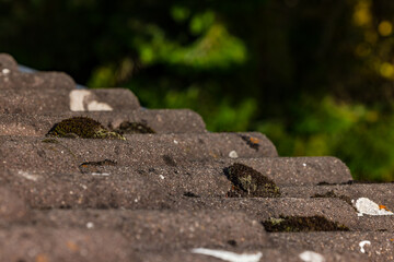 Schmutz und Moss auf den Ziegeln von einem Hausdach