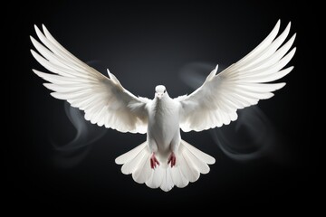  a white dove with its wings spread out in front of a black background with smoke coming out of the back of the dove's wings and the back of its body.