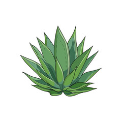 Agave isolated vector