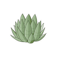 Agave isolated vector