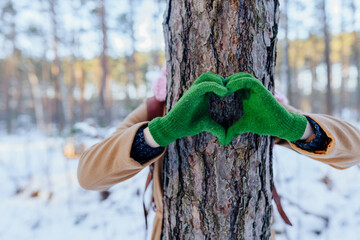 Fototapeta Nature lover hugging trunk tree with green mittens in winter woods forest. Natural background. Concept of people love nature and protect from deforestation or pollution or climate change. obraz
