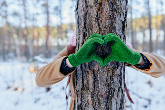 Nature lover hugging trunk tree with green mittens in winter woods forest. Natural background. Concept of people love nature and protect from deforestation or pollution or climate change.