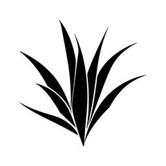 agave silhouette isolated vector