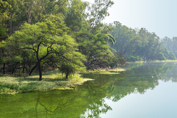 Gulawat Lotus Valley is located in Hatod tehsil in Indore city of Madhya Pradesh state of India.