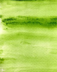 Green abstract watercolor paint background, bamboo 