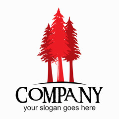 red wood logo , tree logo