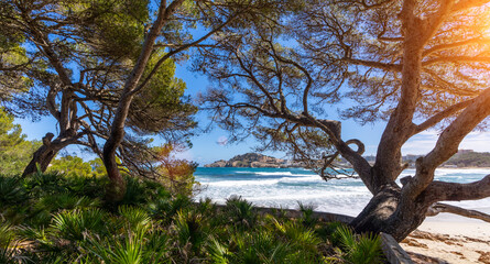 Panoramic view of mallorca coastline on a sunny summer day