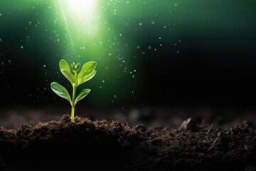  a small green plant sprouts from the ground in front of a bright green light that is shining down on the ground, with dirt and dirt on the ground.
