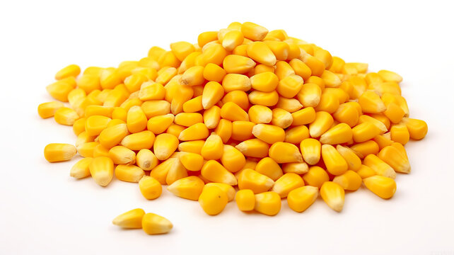 A tiny corn grain on a stark white background 
