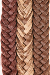 Natural looking shiny hair braided in pigtail of different colors closeup background