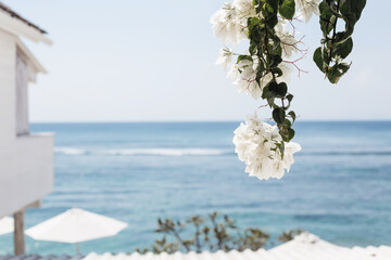 A large white flower on the background of the blue ocean. Beautiful natural background with space for text