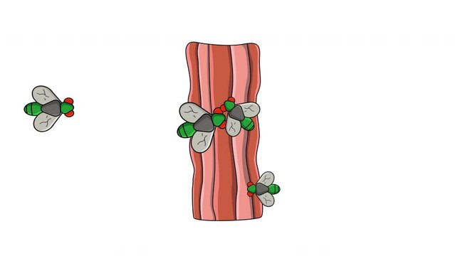 Animation of bacon being infested with flies