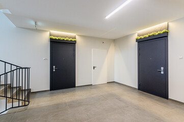 interior apartment public place, house entrance. doors, walls, staircase corridors