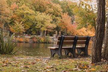 Park Bench