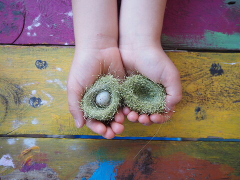 manos de ni&ntilde;a cuidando un huevo peque&ntilde;o con ni&ntilde;o artesanal, cuidar la naturaleza