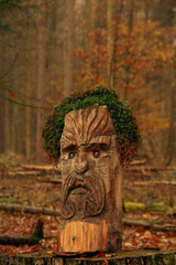 Forest mask wood