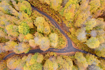 Obraz na płótnie Canvas Drone aerial of Autumn forest road. View of autumn forest road with fallen leaves Fall season scenery. Epirus Greece