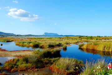 Overview of the San Teodoro pond - Sardinia - Italy - 681641507