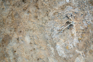 Dry cracked ground background. Concept image of global warming. Nature disaster.