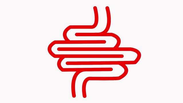 Bright Human Intestine motion. Animation of the neon intestine with a red glow. Human anatomy concept