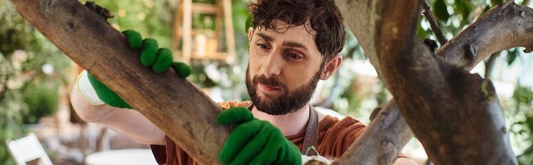 Fototapeta premium handsome bearded gardener in gloves examining tree in modern greenhouse, horticulture banner