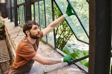 good looking bearded gardener in gloves and linen apron opening window in modern greenhouse