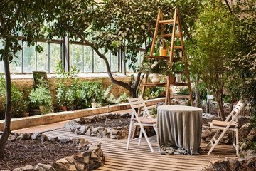 Fototapeta na wymiar beautiful and modern greenhouse interior with wooden rack, garden chairs and round table