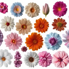 pattern with flowers