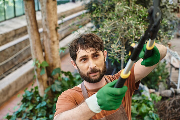overhead view of gardener in apron cutting branch on tree with big gardening scissors in greenhouse