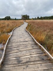 Fototapeta premium Boardwalk in the marsh