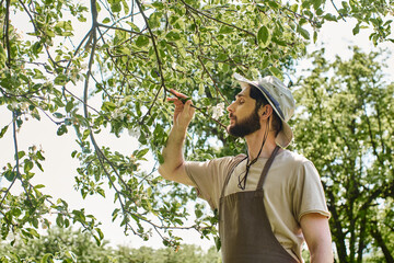 bearded gardener in sun hat and linen apron examining green leaves of tree while working outdoors