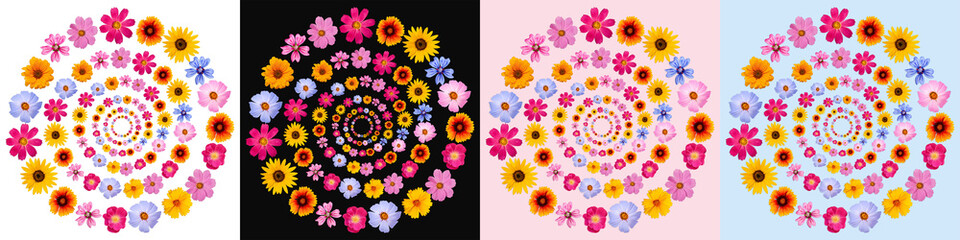 Summer composition of bright colorful summer flowers on black, white, blue and pink background. Floral design for round drink coaster, dining mat, cup mat, greeting card, invitation.