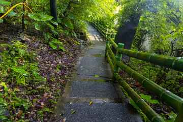 Fototapeta premium Sights and Nature around Yangmingshan National Park in Taipei, Republic of China in Taiwan