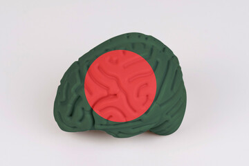 On a white background, a model of the brain with a picture of a flag - Bangladesh