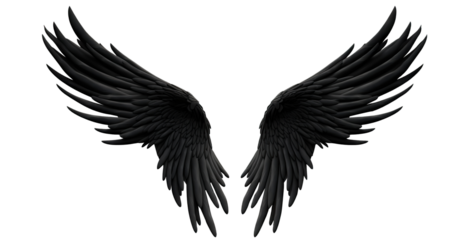 Pair of black wings, cut out