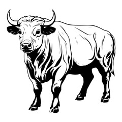 Bull Goring Pose
