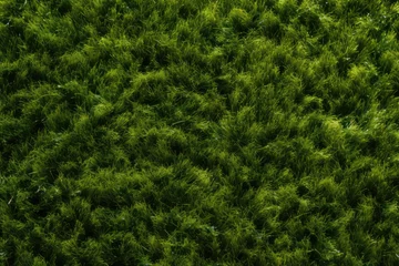 Photo sur Aluminium Herbe Artificial grass background, top view