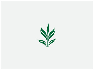 premium rice plant logo vector, vector and illustration,