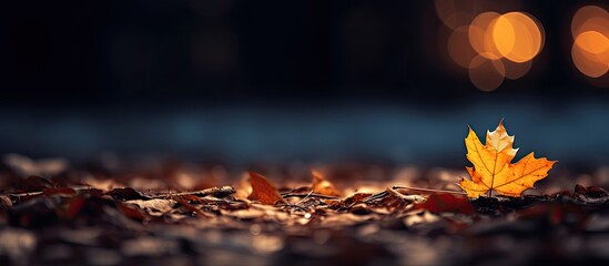 In the background of the autumn night, a lone leaf fluttered down, its golden hue fading as it settled on the ground, evoking a natural and emotional sadness in the evening. - obrazy, fototapety, plakaty