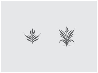premium rice plant set logo vector, vector and illustration,