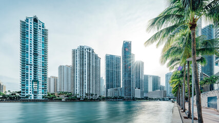 the skyline of miami seen from the miami river